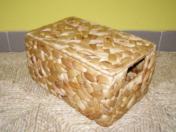 Truhlička, vodní hyacint
