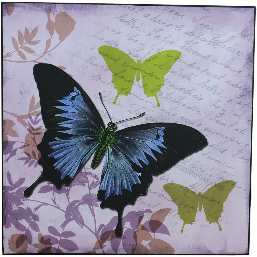 Obraz 38x38 - Motýl, 355117 - MDF